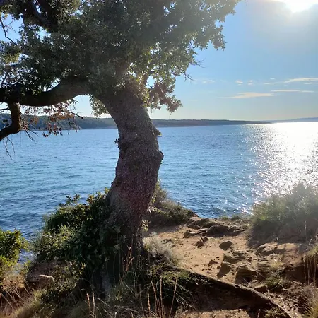 Rab Island Del Sole דירה *