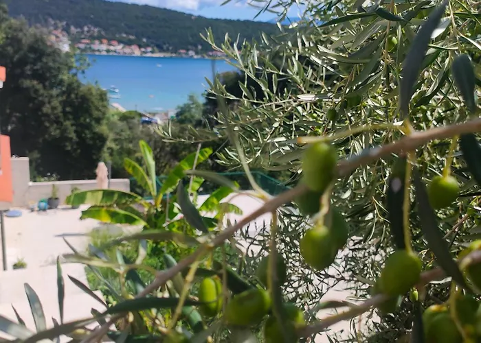 Apartman Rab Island Del Sole Supetarska Draga